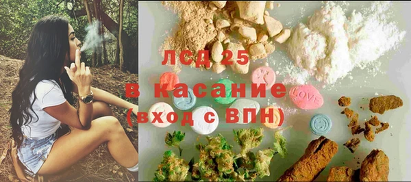 мяу мяу мука Арсеньев